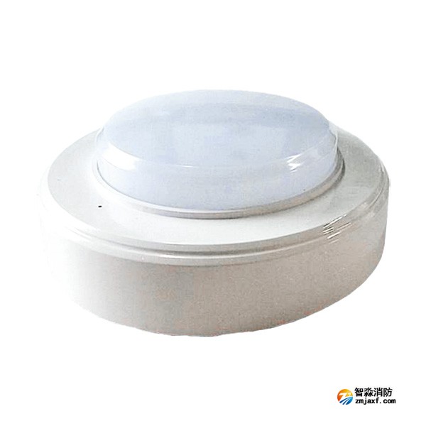 尼特NT-ZFJC-E5W-2303集中電源集中控制型消防應急照明燈具